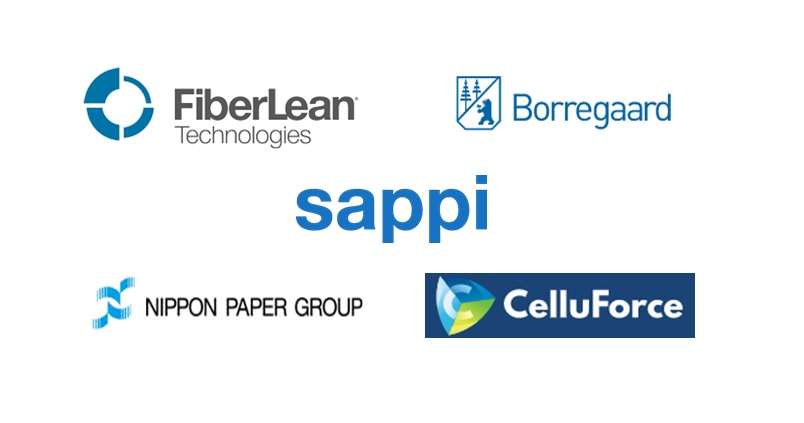 The key companies comprehensively working on the Nanocellulose & Lignin incorporated in Cosmetics market.