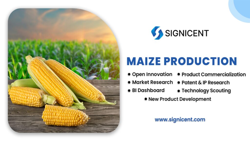 Maize Production By Signicent