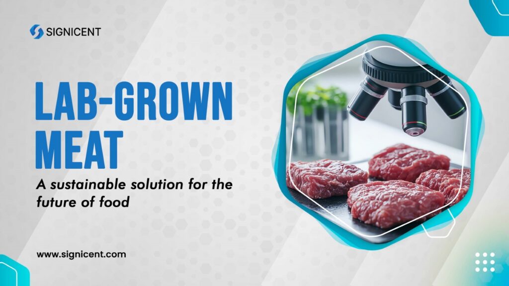 Lab-Grown Meat - A Sustainable Solution for the Future of Food