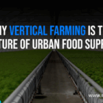 Vertical Farming Shaping the Future of Agriculture